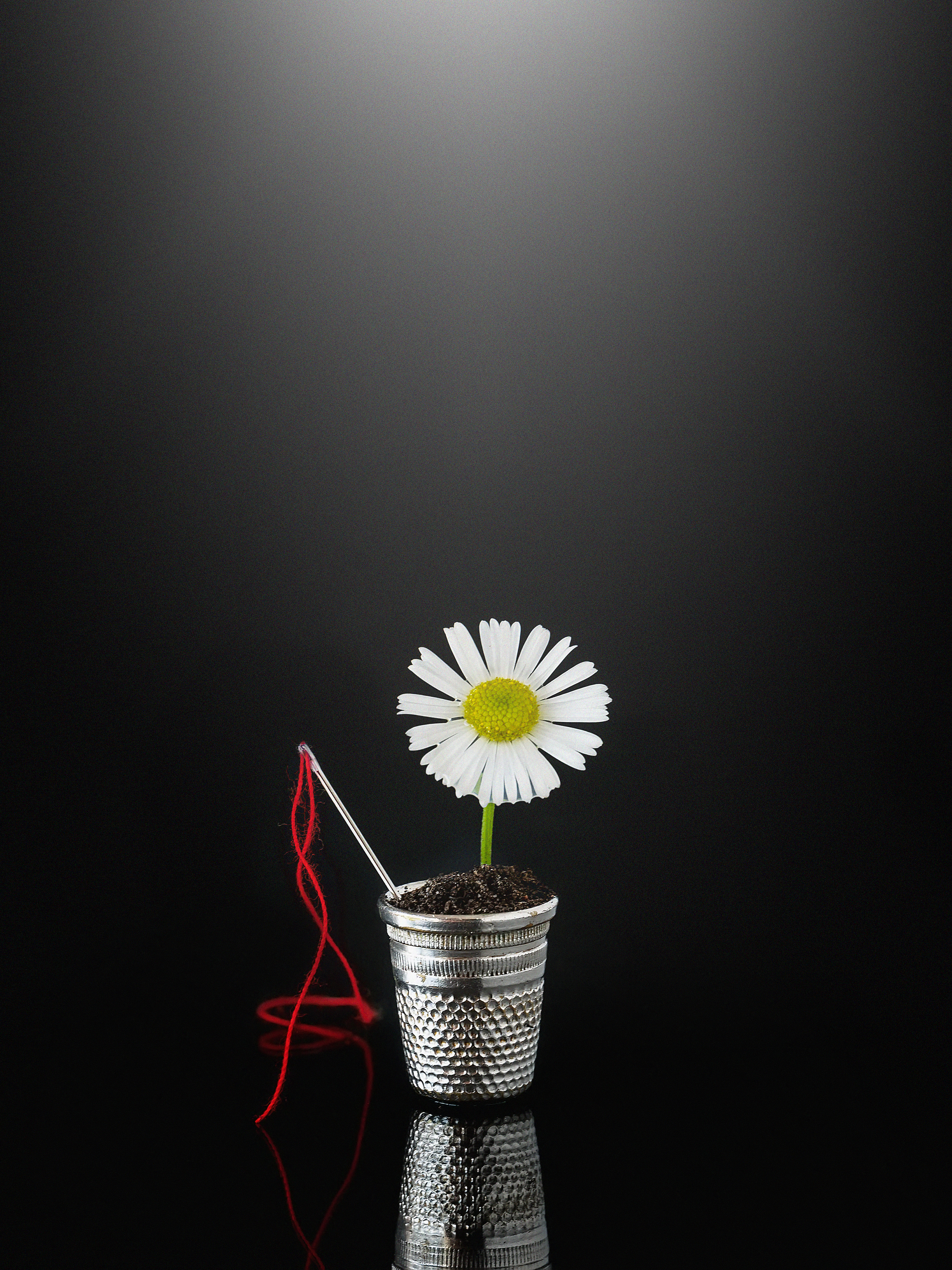florecilla-52.jpg